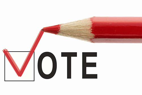 VOTE: Online Ballot Invitations Sent (2014)